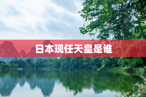 第291页