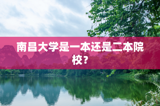 第446页