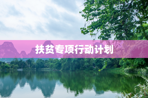 扶贫专项行动计划