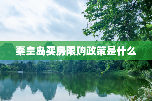 秦皇岛买房限购政策是什么