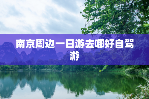 第1261页