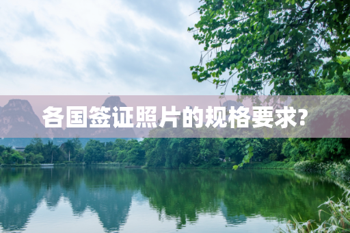 各国签证照片的规格要求?