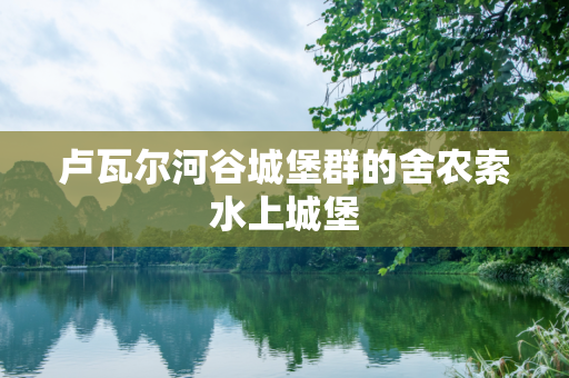 卢瓦尔河谷城堡群的舍农索水上城堡