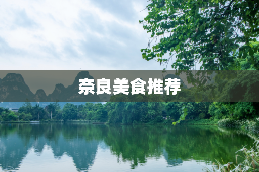 奈良美食推荐
