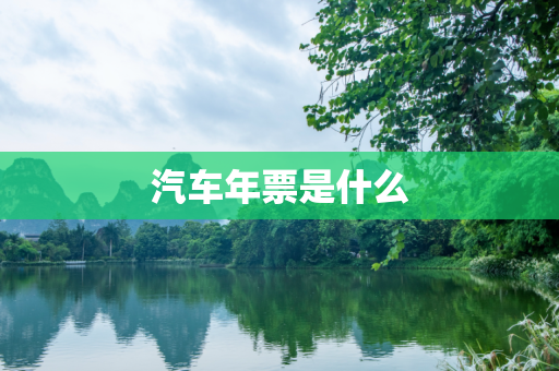 汽车年票是什么