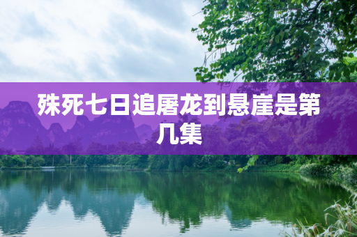 殊死七日追屠龙到悬崖是第几集