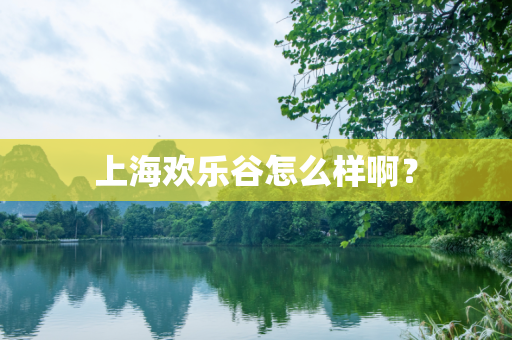 上海欢乐谷怎么样啊？