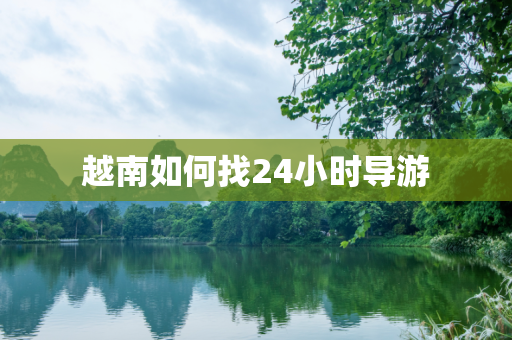 越南如何找24小时导游