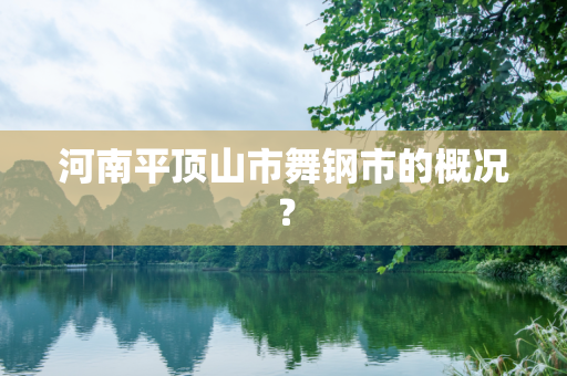 河南平顶山市舞钢市的概况？