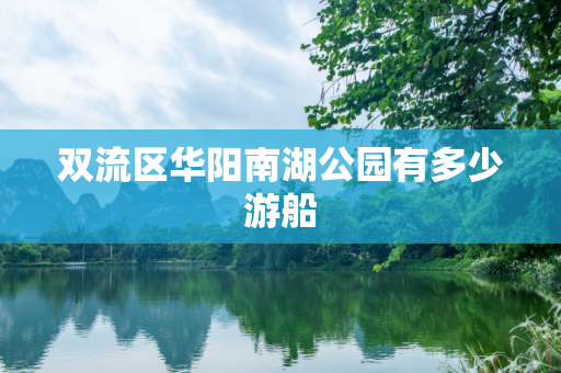 双流区华阳南湖公园有多少游船