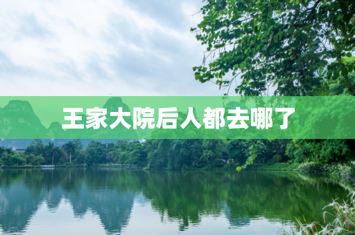王家大院后人都去哪了