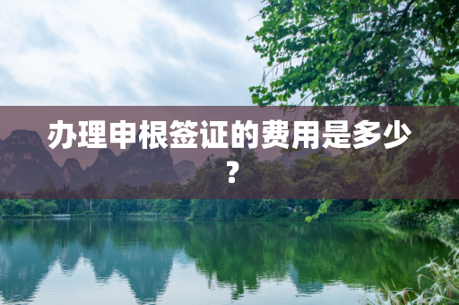 办理申根签证的费用是多少？