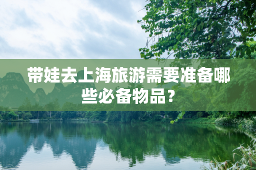 带娃去上海旅游需要准备哪些必备物品？