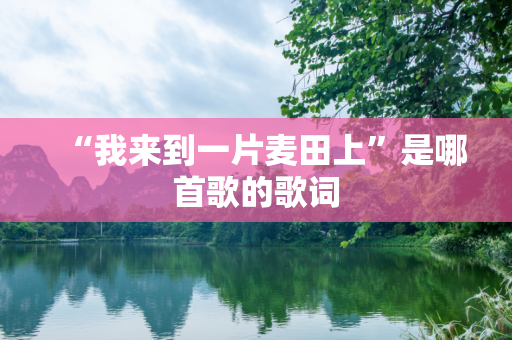 “我来到一片麦田上”是哪首歌的歌词