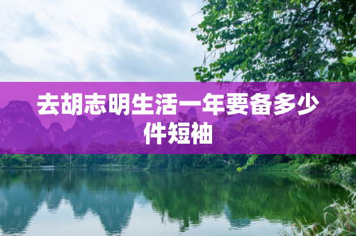 去胡志明生活一年要备多少件短袖
