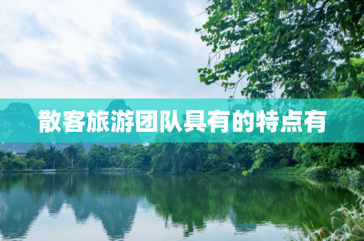 散客旅游团队具有的特点有