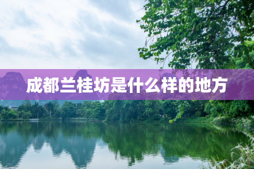 成都兰桂坊是什么样的地方