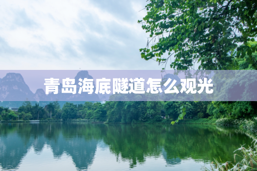 青岛海底隧道怎么观光
