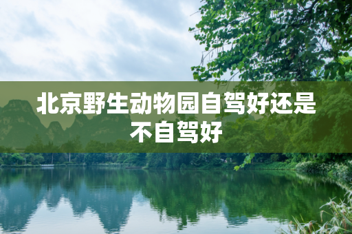 北京野生动物园自驾好还是不自驾好