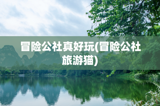 冒险公社真好玩(冒险公社旅游猫)