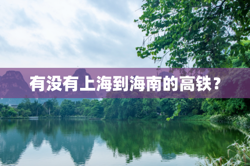 有没有上海到海南的高铁？