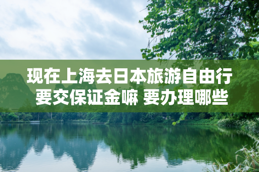 现在上海去日本旅游自由行 要交保证金嘛 要办理哪些手续