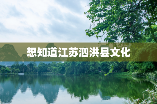 想知道江苏泗洪县文化