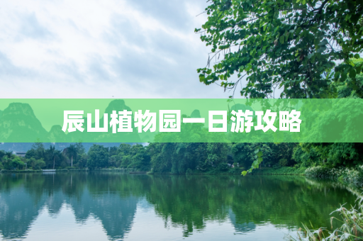 辰山植物园一日游攻略