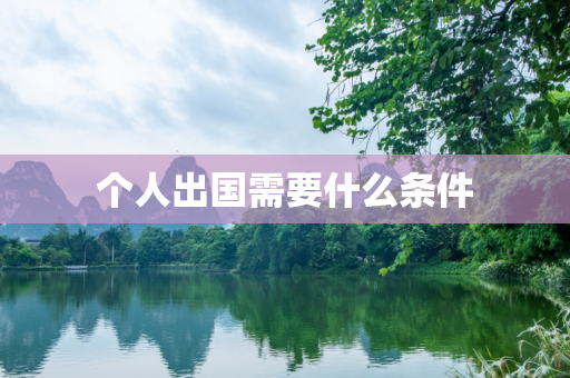 个人出国需要什么条件