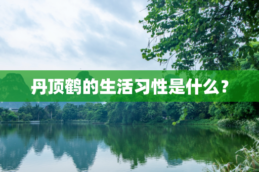 丹顶鹤的生活习性是什么？