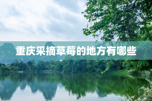 重庆采摘草莓的地方有哪些