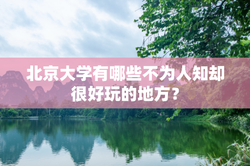 北京大学有哪些不为人知却很好玩的地方？