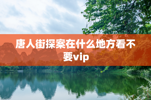 唐人街探案在什么地方看不要vip