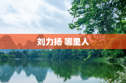 刘力扬 哪里人