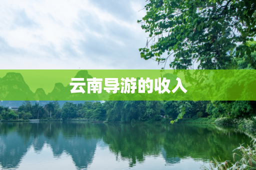 云南导游的收入