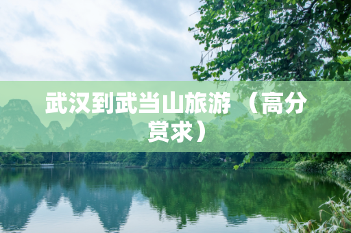 武汉到武当山旅游 （高分赏求）