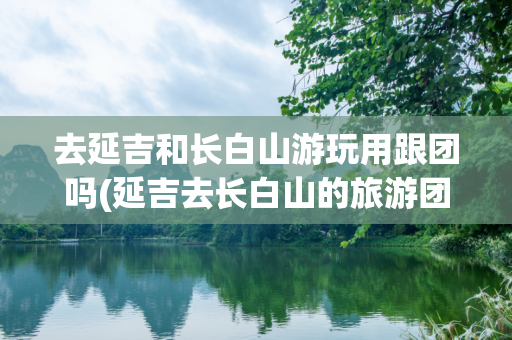 去延吉和长白山游玩用跟团吗(延吉去长白山的旅游团 )