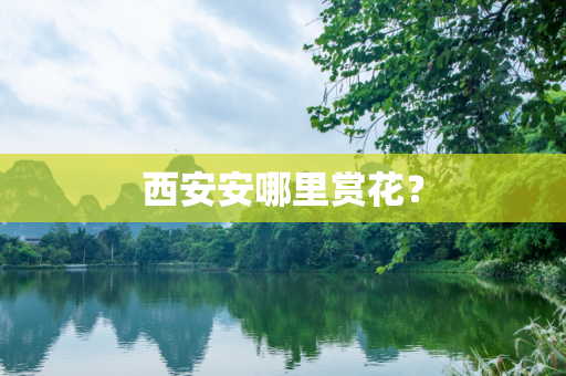 西安安哪里赏花？
