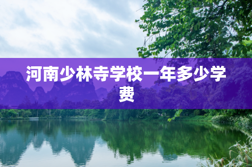 河南少林寺学校一年多少学费