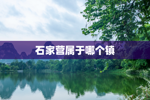 石家营属于哪个镇
