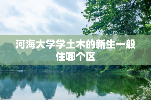 河海大学学土木的新生一般住哪个区