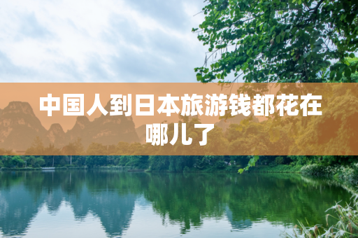 中国人到日本旅游钱都花在哪儿了