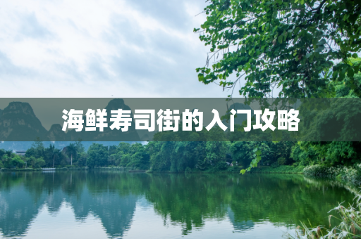 海鲜寿司街的入门攻略