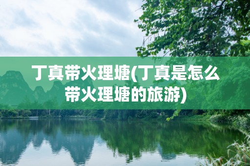 丁真带火理塘(丁真是怎么带火理塘的旅游)