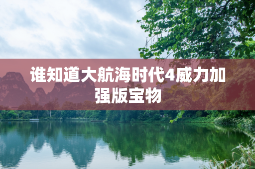 谁知道大航海时代4威力加强版宝物
