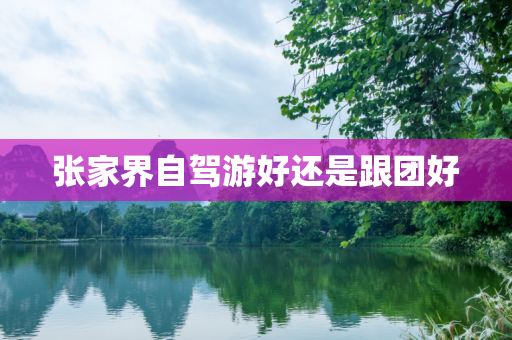 张家界自驾游好还是跟团好
