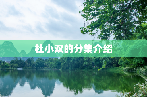杜小双的分集介绍