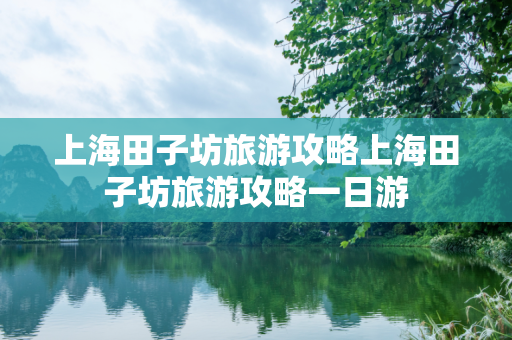 上海田子坊旅游攻略上海田子坊旅游攻略一日游