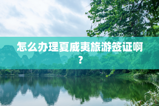 怎么办理夏威夷旅游签证啊？