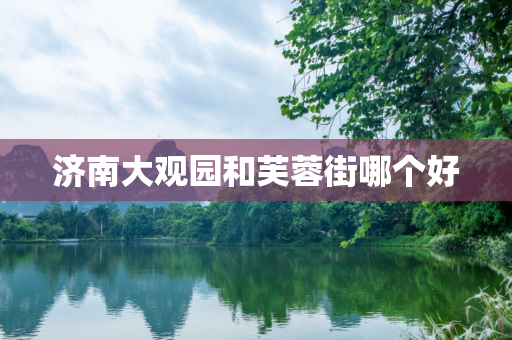 济南大观园和芙蓉街哪个好
